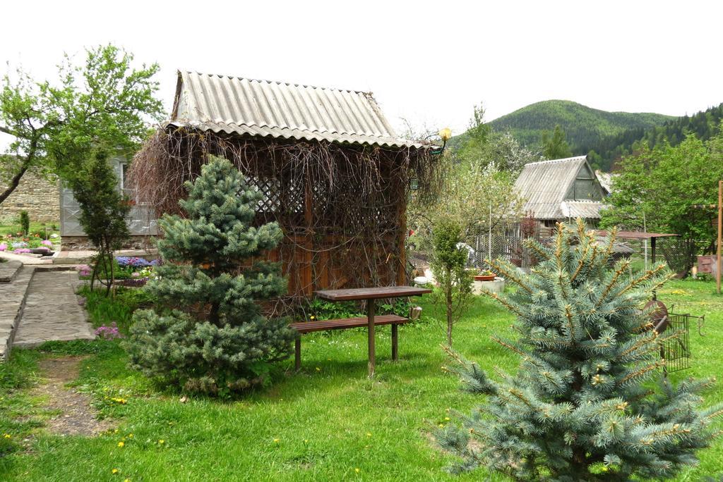 Bilyy Kamin Guest House タターリウ エクステリア 写真