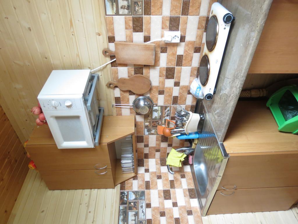 Bilyy Kamin Guest House タターリウ エクステリア 写真