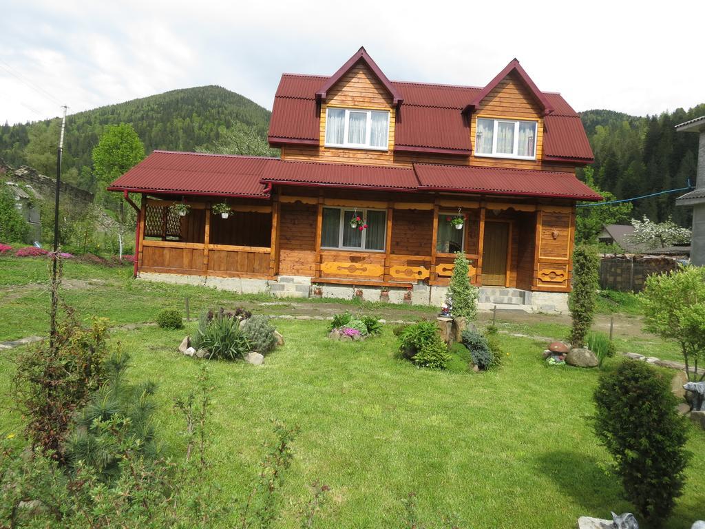Bilyy Kamin Guest House タターリウ エクステリア 写真