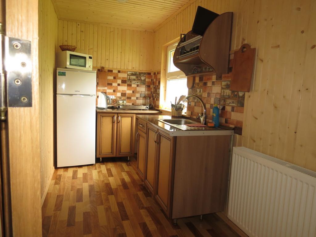 Bilyy Kamin Guest House タターリウ エクステリア 写真